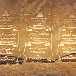 Acrylic Trophy - PP010