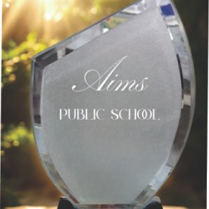 Acrylic Trophy - PP023