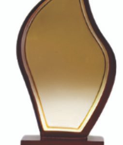 Wooden Trophy - PP016