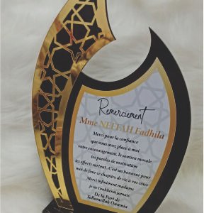 Acrylic Trophy - PP024